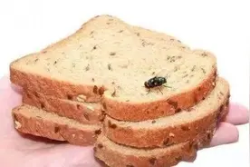 生活小妙招，家里的苍蝇多，只用一个简单的方法就可消灭图片