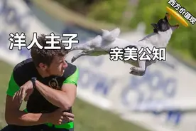 君子莫愁：一些公知的无耻，终究还是突破了我的想象力！图片