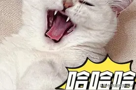 小舅子不仅花了我的5000块私房钱，还想借我一顿好笑！图片