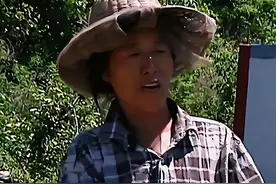 06年黑龙江农妇收留一条蛇，隔天蛇竟拖家带口前来，一住就是15年图片