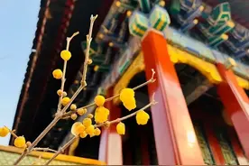 相约春天！赏花、爬山、骑行，北京踏青指南攻略来了图片