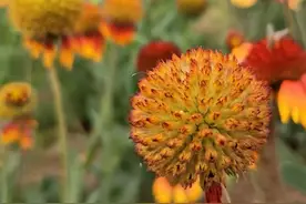 情感中的一加一等于几？图片