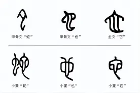 说文解字：蛇，十二生肖之一，配地支的“巳”图片