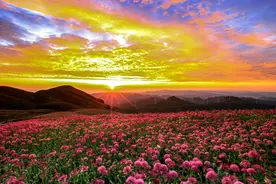 期待！毕节这里的狂欢季将至图片