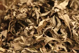 坚持睡前用艾叶泡脚，或能帮你改善这4类问题图片