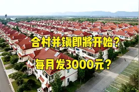 细说合村并镇带来的坏处远远大于好处。图片