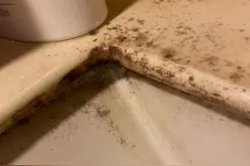 水槽边发霉，不用换玻璃胶，教你正确方法，霉斑很快就会消失图片