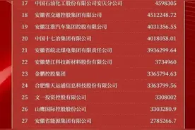 2022年安徽省企业100强榜单分析，海螺集团领跑！图片