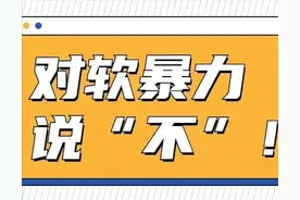 “软暴力”行为也可以认定为有组织犯罪的犯罪手段 | 以案说法图片