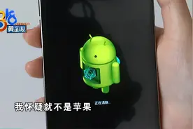 ​网上买的手机出现“天线宝宝”，是“苹安”还是“果卓”？图片