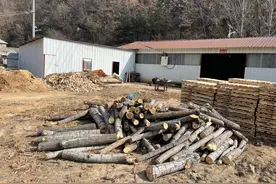 不到一个月，他们售出汽油6万余升图片