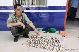 “电鱼”遭国家明令禁止，却屡次有人犯案，危害到底有多大？图片