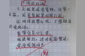 盘点那些年的神级搞笑作文图片