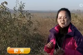 甘肃女子砸千万绿化万亩沙漠，用13年将荒漠变聚宝盆，年入2.7亿图片