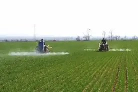 常用植物生长调节剂的作用及用量（收藏版）图片