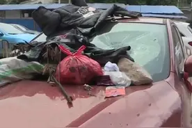 女司机停车堵小区过道，6天6夜不接电话，回来一看傻眼了图片