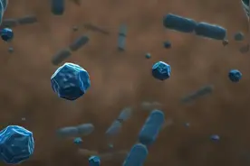 有一种“糖”，是肠道健康的护卫，糖尿病朋友也可以吃图片