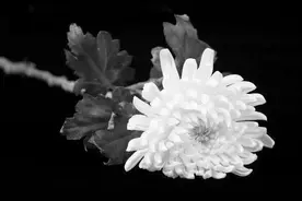 全军官兵深切悼念江泽民同志图片