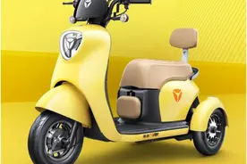 2款精品休闲三轮车，代步、接娃一车多用，同样适合年轻人出街图片