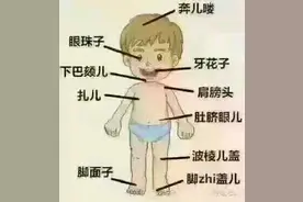 逐渐消失的东北方言土语大全简单解释版续篇之三：身体器官的别称图片