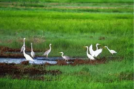 一眼就心动的黑龙江多巴胺美景图片