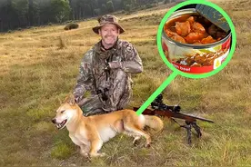 16年，澳洲斥巨资悬赏，计划消灭300万野狗，然后将狗肉出口东亚图片