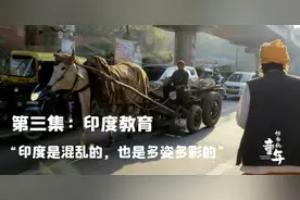 《他乡的童年》之印度现实版“起跑线”教育给我的几点启发图片