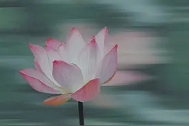 废片秒变科幻大片，醒图里的这个功能太魔幻了吧图片