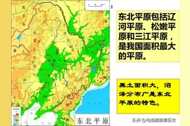 撤退的东北军给日本人留下这么多武器？蒋介石也没有想到图片
