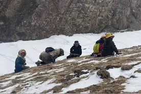 身兼动植双性的冬虫夏草，为何变化生成一气通，它是从何而来的？图片