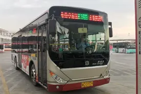 最新调整！涉淄博多条公交线路图片