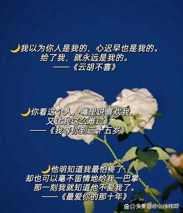 小说里把你虐哭的句子，句句都是遗憾！！