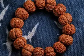 “大金刚”和“落地红”的「5大差别」，你了解多少呢？图片