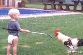 为下一篇文章准备的关于“挑衅”、“寻衅”的图片图片