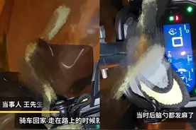 吓麻了！陕西惊现“鸡冠蛇”原型，无毒牙为何却比眼镜王蛇还毒？图片