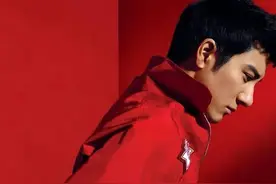 瞧瞧王力宏所有的过往，令人感叹藏得好深图片