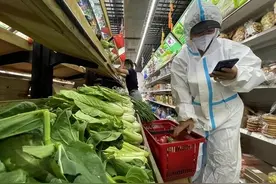 探访蔬菜直销点 果蔬新鲜供应足图片