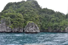 故事:国外45岁男子隐居荒岛20年,浑身纹满豹纹,多次被当花豹猎杀图片