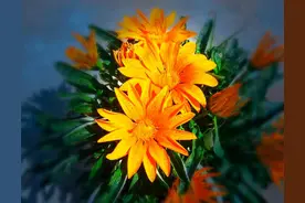 异性之间的暧昧，从三个“默许”开始图片