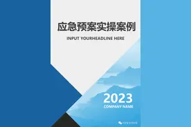 Word |【预案】2023企业安全生产事故应急预案实操案例（246页）图片