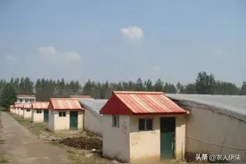 农民在鱼塘边或者果园里的看护房，算不算违章建筑？答案来了图片