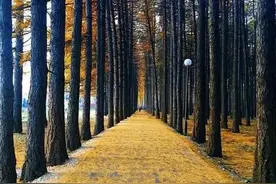 爱是一场修行图片