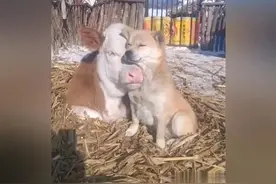 女人是水做的，男人是泥做的，那水泥做的呢？图片