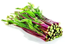 菜薹为何称蕻子、菜心？雪里蕻本是雪里红？图片