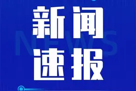 石家庄市新华区人民法院悬赏公告图片