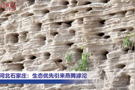 石家庄生态优先引来燕舞滹沱图片