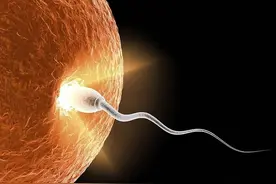 科学家拍到：人类卵子接受精子那一刻，会爆发出一阵巨大闪光图片