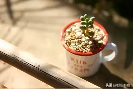 原来，45岁后遇到的这些人，皆是“孽缘人”，别再接触了图片