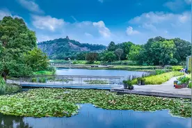 教师节将至，本周末上海这些公园邀教师免费游园图片