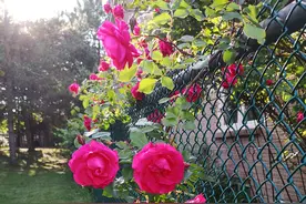 她的儿子，用大学毕业后第一笔收入，帮父亲还清了房贷图片